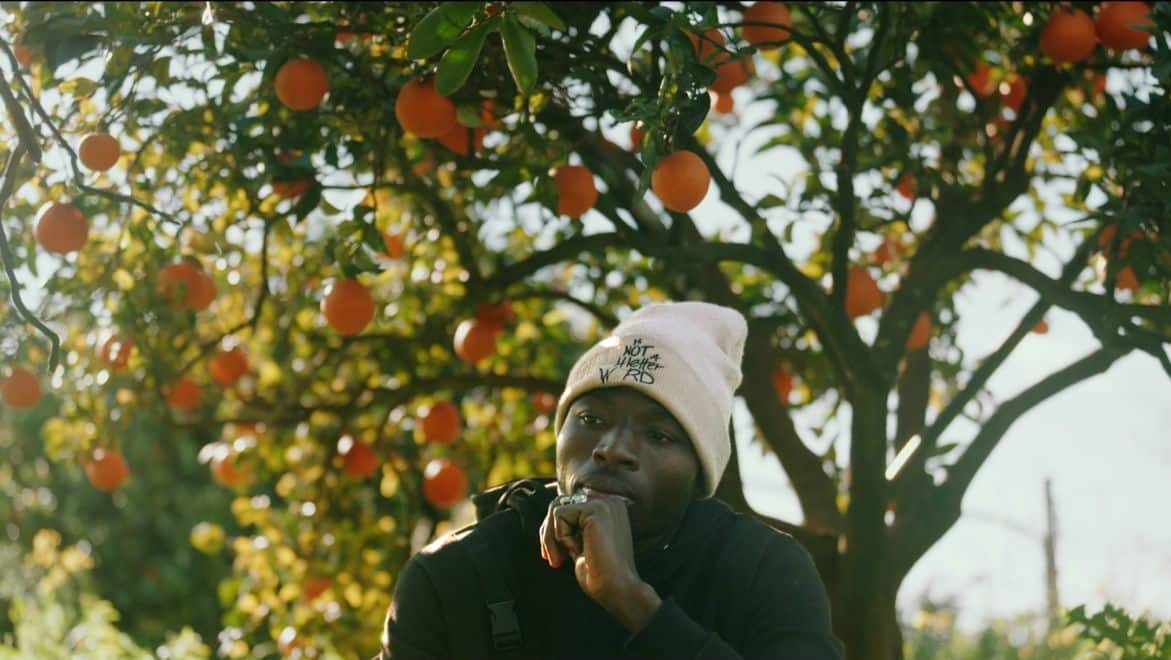 Orangen-Aktion 2025 startet